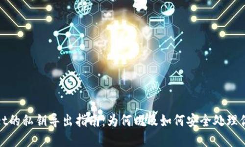 tpwallet的私钥导出指南：为何以及如何安全处理你的私钥