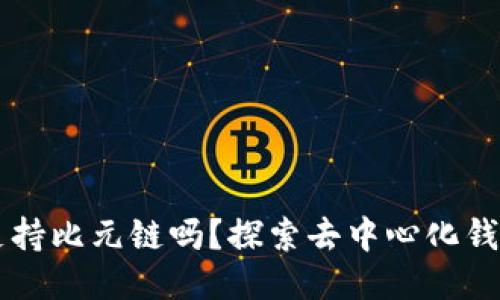 : TPWallet支持比元链吗？探索去中心化钱包的无限可能