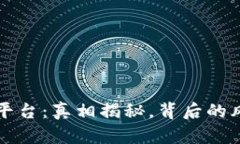 TPWallet平台：真相揭秘，背后的风险与机遇