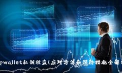 tpwallet私钥被盗！应对方法和预防措施全解析