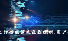 TPWallet面容支付功能消失原因探析：用户指南与未