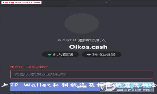 如何防止TP Wallet私钥被盗及权限被篡改的全面指南