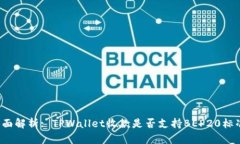 全面解析: TPWallet收款是否支持BEP20标准?
