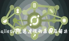 TPWallet闪兑速度慢的原因及解决方案