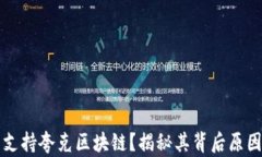 tpwallet不支持夸克区块链？揭秘其背后原因与未来