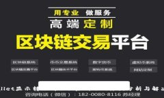 TPWallet显示转账成功但未到账的原因分析与解决方