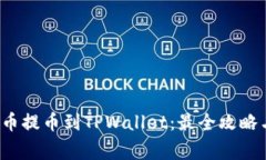 如何将FIL币提币到TPWallet：最全攻略与注意事项