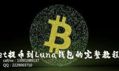 : TP Wallet提币到Luna钱包的完整教程：新手必看！