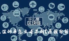 TPWallet充值的币怎么看不到？原因分析与解决方案