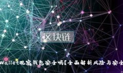 TPWallet观察钱包安全吗？全面解析风险与安全性