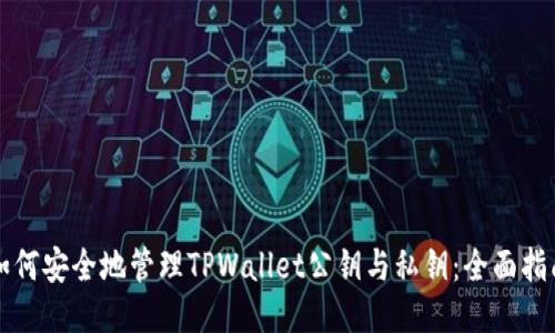 如何安全地管理TPWallet公钥与私钥：全面指南
