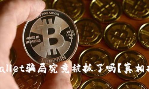 TPWallet骗局究竟被抓了吗？真相揭晓！