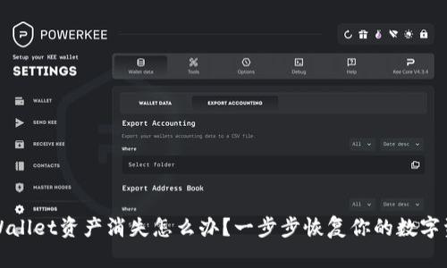 TPWallet资产消失怎么办？一步步恢复你的数字资产