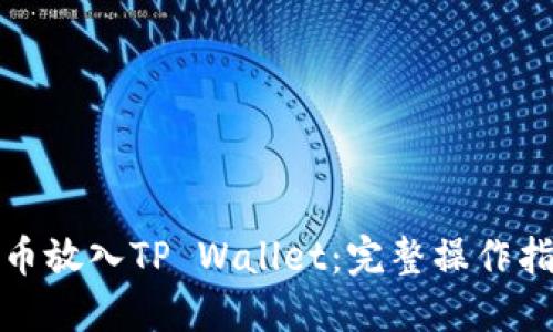 如何将狗币放入TP Wallet：完整操作指南与技巧