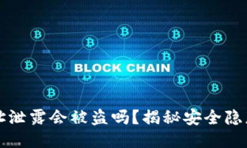 TPWallet地址泄露会被盗吗？揭秘安全隐患与防护策略