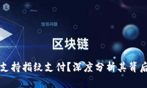 TPWallet为什么不支持指纹支付？深度分析其背后的原因与用户体验