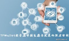 TPWallet能否在中国生存与发展的深度分析