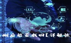 tpwallet助记词误删后能否找回？详解恢复方法与注