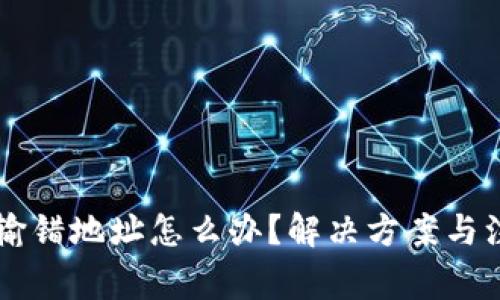 TPWallet提币输错地址怎么办？解决方案与注意事项全解析