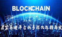 区块链居家养老平台的多样化选择与发展趋势