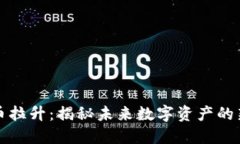 区块链平台币拉升：揭秘未来数字资产的新趋势