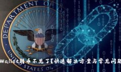 往TPWallet转币不见了？快速解决方案与常见问题解