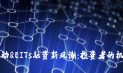 区块链推动REITs融资新风潮：投资者的机遇与挑战