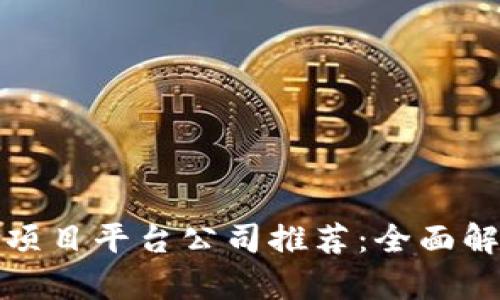 优秀的区块链项目平台公司推荐：全面解析行业领军者