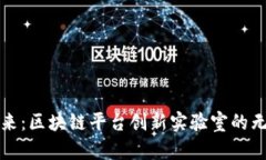 探索未来：区块链平台创新实验室的无限可能