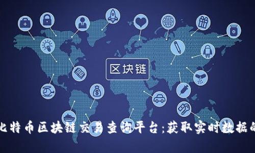 全面解析比特币区块链交易查询平台：获取实时数据的最佳实践